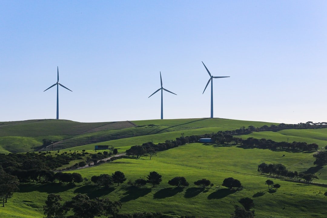 A view of Starfish Hill Wind Farm in South Australia.